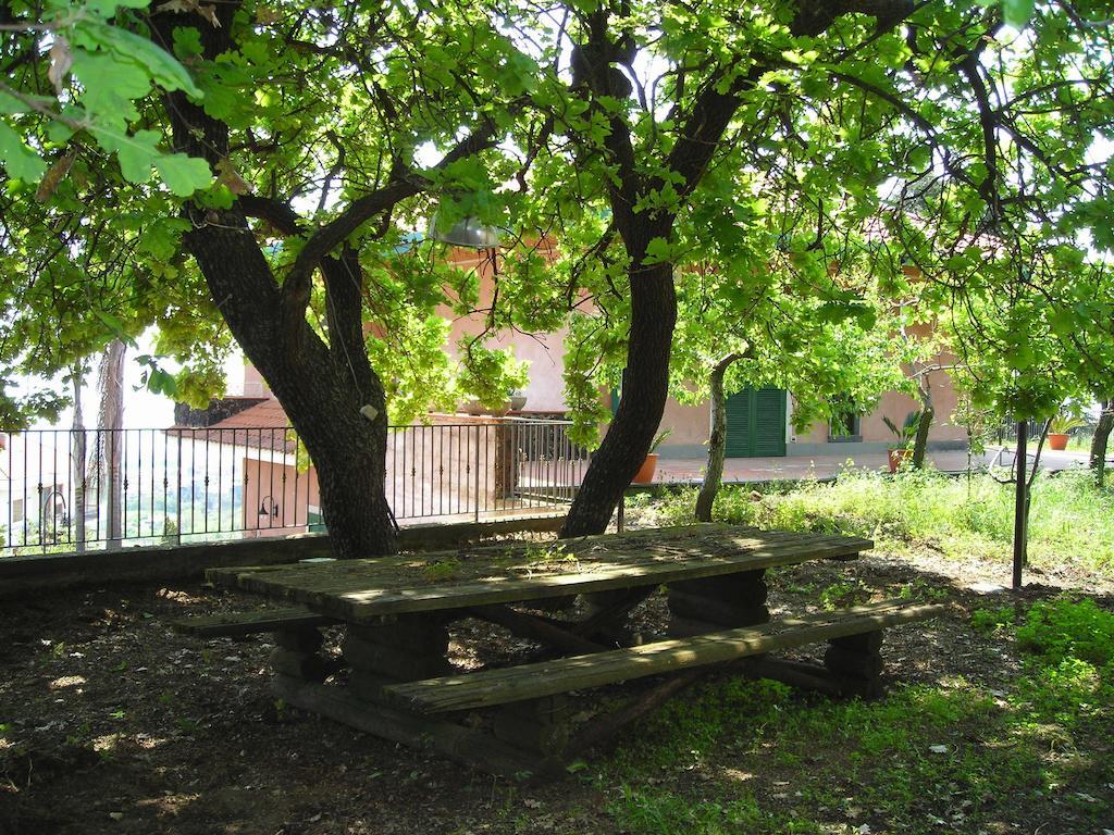 B&B Villa Dagala Santa Venerina Exteriér fotografie